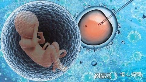 关于素竹生殖